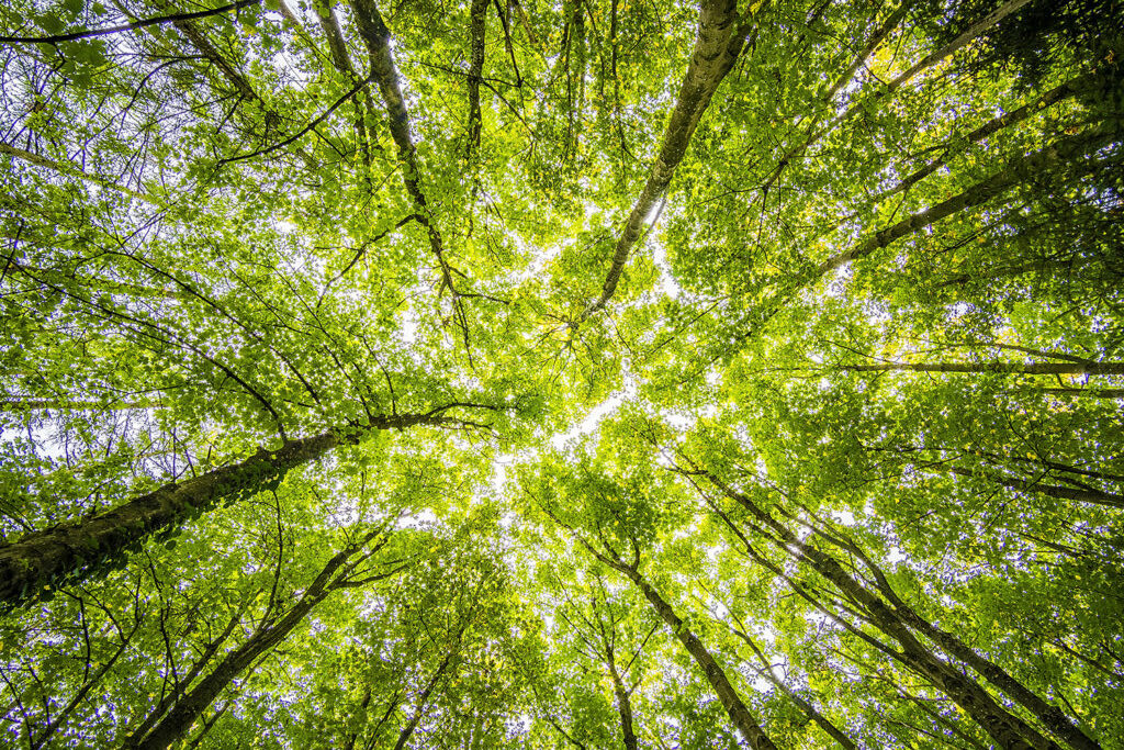 Pursuing Green Development, Building an Ecological Future — Zhejiang AirSun in Eco-Friendly Daily Chemicals